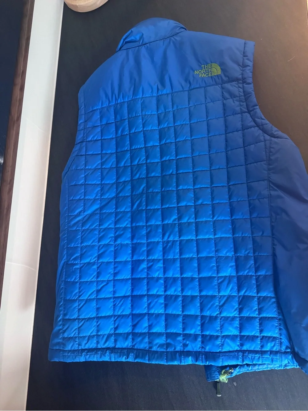 The North Face Men’s Blue Puffer Vest with Green Lining